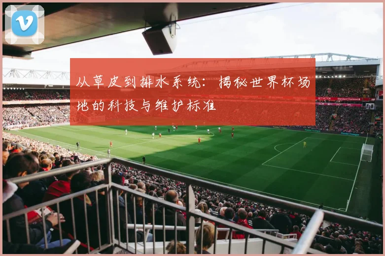 从草皮到排水系统：揭秘世界杯场地的科技与维护标准