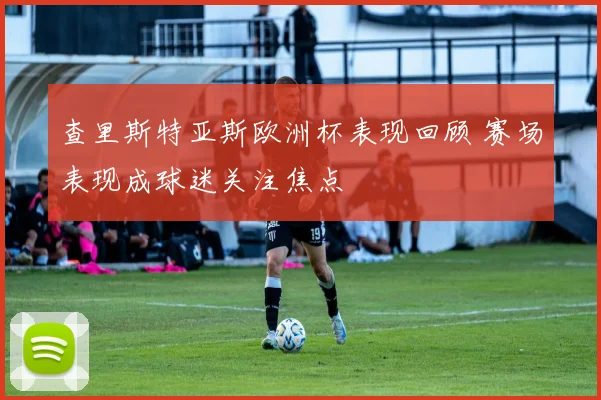 查里斯特亚斯欧洲杯表现回顾 赛场表现成球迷关注焦点